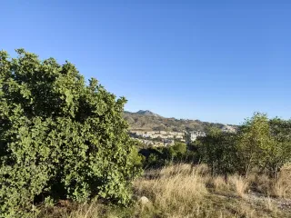 HUAWEI Pura 70 Ultra - System Aparatów - 00000758.webp