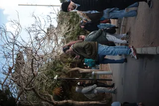 Carl Zeiss Jena DDR Pancolar Electric 50mm f1.8 (M42) - 00003784.webp