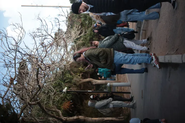 Carl Zeiss Jena DDR Pancolar Electric 50mm f1.8 (M42) - 00003784.webp