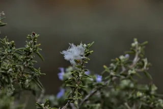 Tamron 28-300mm F3.5-6.3 (EF) - 00001215.webp