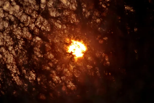 Spiratone Plura-Coat SharpShooter-S 400mm f6.3 (T2-M42) - 00005356.webp