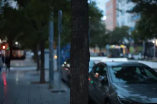 Minolta MC Rokkor-PF 55mm f1.7 (Minolta MCMD) - 00002265.webp