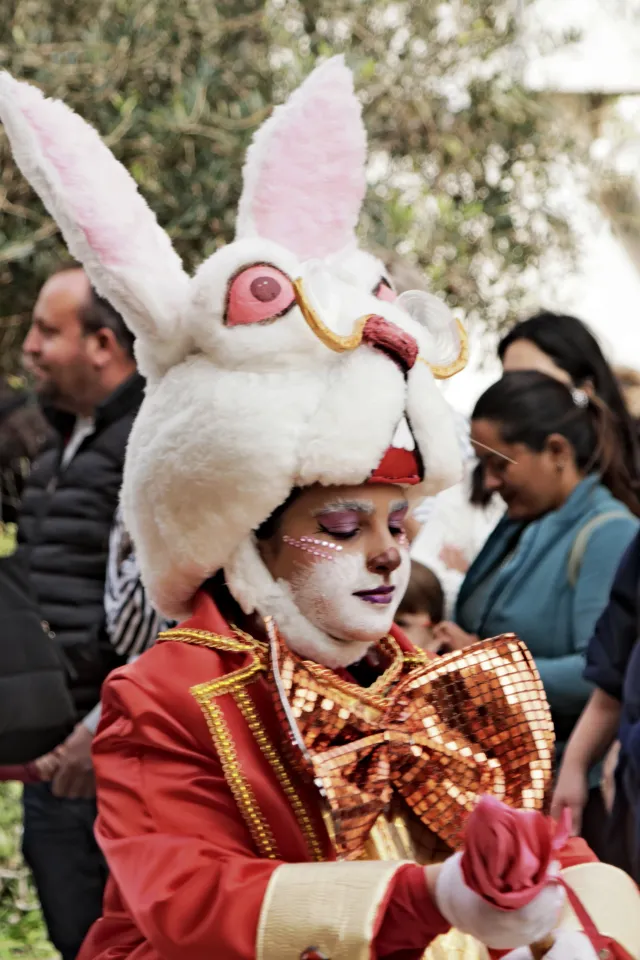 Tamron 28-300mm F3.5-6.3 (EF) - 00004060.webp