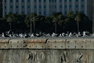 Tamron 28-300mm F3.5-6.3 (EF) - 00000402.webp