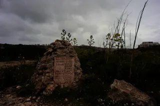 Carl Zeiss Flektogon f4 20mm (m42).md - 00004500.webp