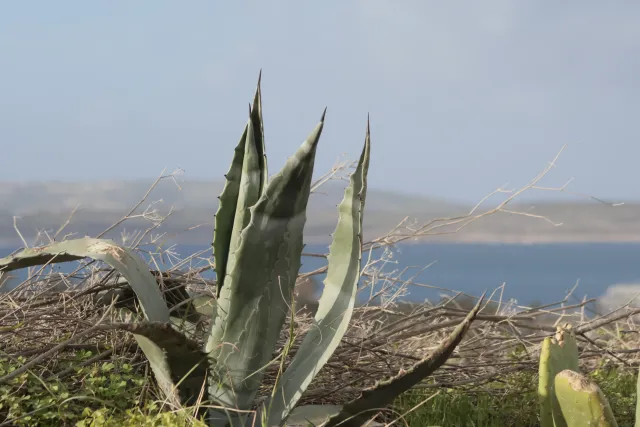 Tamron 28-300mm F3.5-6.3 (EF) - 00004670.webp