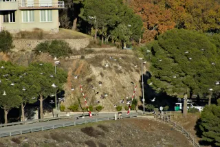 Tamron 28-300mm F3.5-6.3 (EF) - 00000791.webp