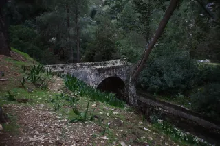 Auto Exaktar EEM 35mm f2.8 ( Minolta MD) - 00003006.webp