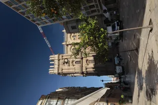 Tokina at-x 116 (EF) - 00000083.webp