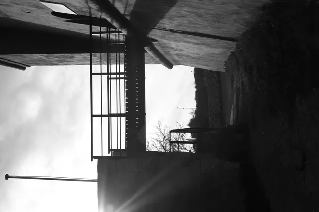 Carl Zeiss Jena DDR Pancolar Electric 50mm f1.8 (M42) - 00004648.webp