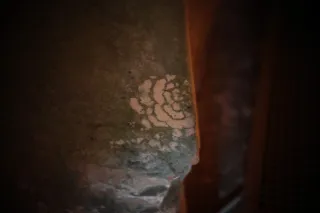 KOWA SUPER PROMINAR-16 50mm f1.2 Eiki 16mm (DIY) - 00003933.webp