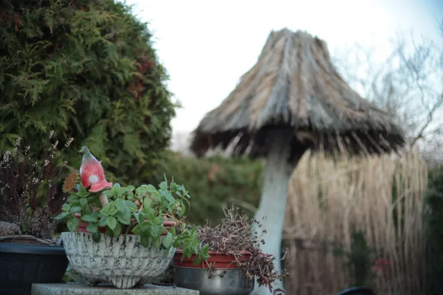 Vivitar 28-85mm f3.5-4.5 MC Macro Focusing Zoom (Olympus OM) - 00005474.webp