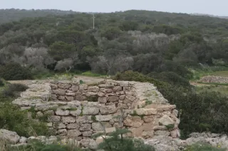 Tamron 28-300mm F3.5-6.3 (EF) - 00004562.webp