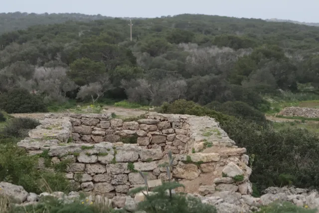 Tamron 28-300mm F3.5-6.3 (EF) - 00004562.webp