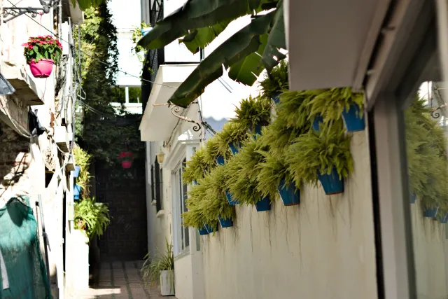 Zenith Helios-77M-4 50mm f1.8 VOMZ (M42) - 00001016.webp