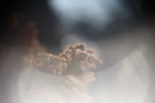 Simplex Ampro Ltd 2.5cala (63.5mm) f1.8 16mm (DIY) - 00002218.webp