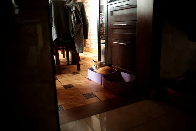 Minolta MC W.Rokkor-SI 28mm f2.5 (Minolta MD) - 00005033.webp