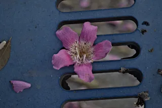 Industar-50-2 50mm f3.5 (M42) - 00002400.webp