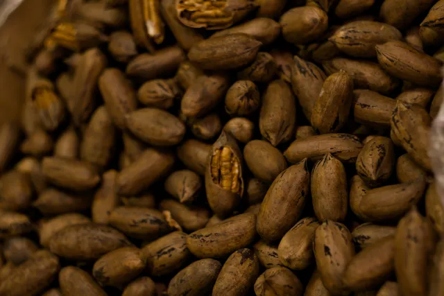 Zenith Helios-77M-4 50mm f1.8 VOMZ (M42) - 00001279.webp