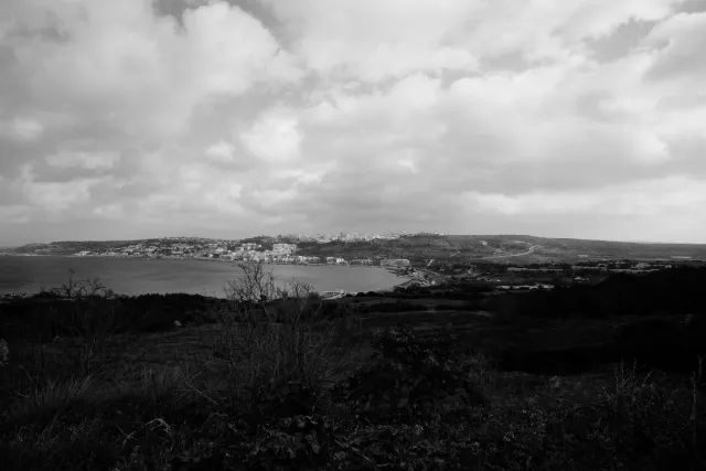 Carl Zeiss Flektogon f4 20mm (m42).md - 00004583.webp