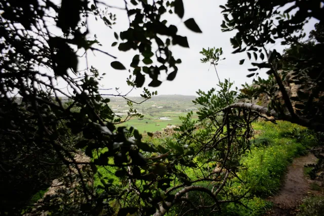 Carl Zeiss Flektogon f4 20mm (m42).md - 00004456.webp