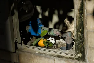 Zenith Helios-77M-4 50mm f1.8 VOMZ (M42) - 00000623.webp