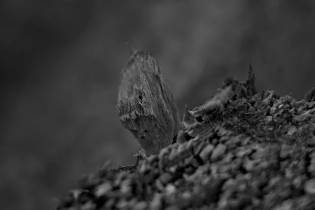 Kilfitt Makro-Kilar D f2.8 40mm (EXA) - 00005309.webp