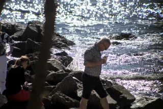 Tamron 28-300mm F3.5-6.3 (EF) - 00001071.webp