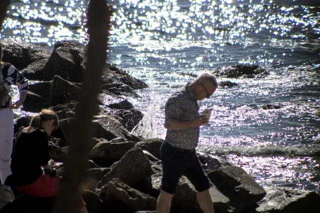 Tamron 28-300mm F3.5-6.3 (EF) - 00001071.webp