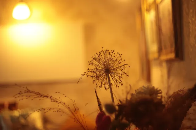 Jena Biotar 58mm f2.0 (wczesny, ~1953) (M42) - 00005185.webp