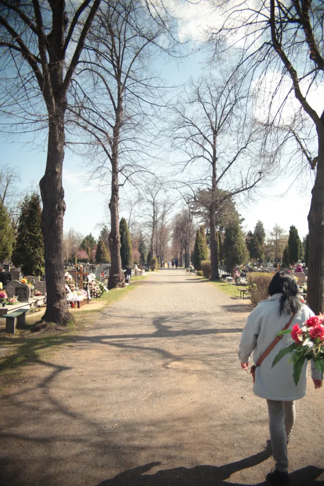 Vivitar Series 1 28-105mm f2.8-3.8 VMC Macro (Olympus OM) - 00005528.webp