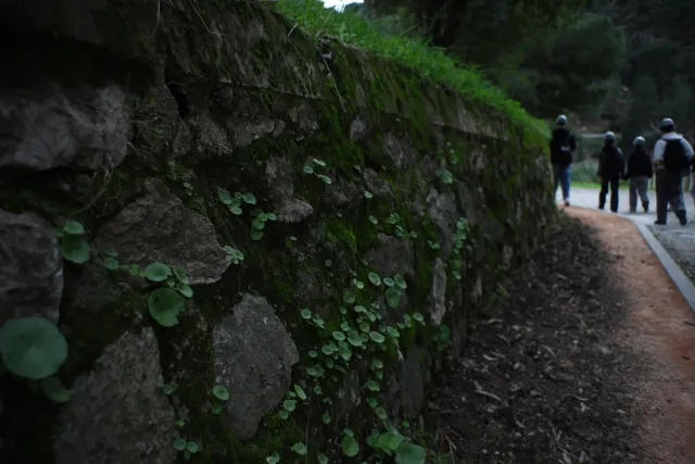 Auto Exaktar EEM 35mm f2.8 ( Minolta MD) - 00003072.webp