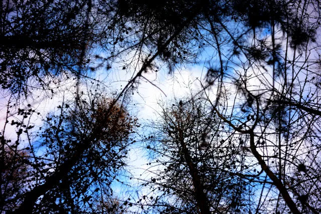 Kilfitt Makro-Kilar D f2.8 40mm (EXA) - 00005325.webp