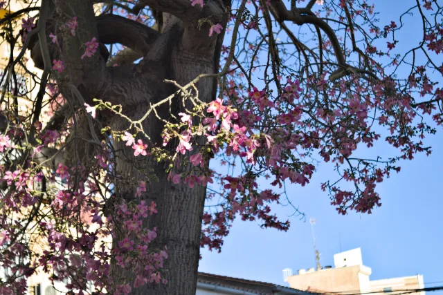 Industar-50-2 50mm f3.5 (M42) - 00001295.webp