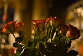 Jena Biotar 58mm f2.0 (wczesny, ~1953) (M42) - 00000012.webp