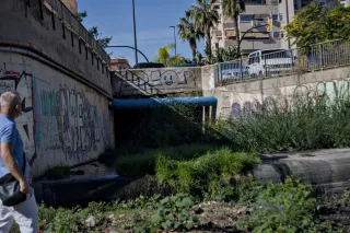 Industar-50-2 50mm f3.5 (M42) - 00000114.webp