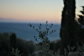 Zenith Helios-77M-4 50mm f1.8 VOMZ (M42) - 00000609.webp