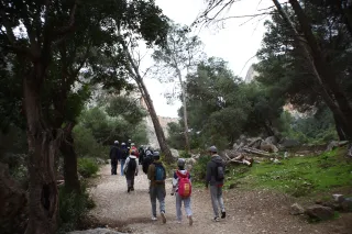 Auto Exaktar EEM 35mm f2.8 ( Minolta MD) - 00003007.webp