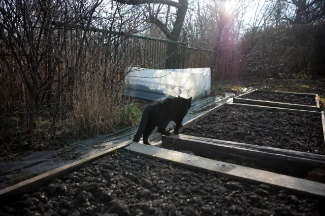 SMC Takumar 28mm f3.5 (Asahi Opt. Co.) [M42] - 00004915.webp