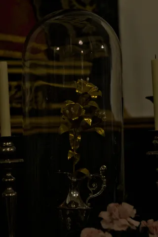 Zenith Helios-77M-4 50mm f1.8 VOMZ (M42) - 00000327.webp