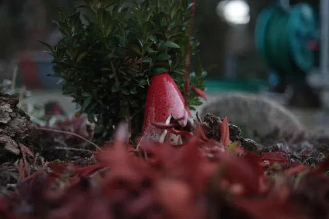 Kilfitt Makro-Kilar D f2.8 40mm (EXA) - 00004894.webp