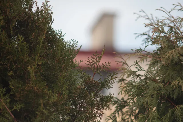 Auto Mamiya-Sekor 200mm f3.5 (M42) - 00005077.webp