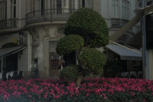 Zenith Helios-77M-4 50mm f1.8 VOMZ (M42) - 00000752.webp