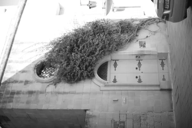 Carl Zeiss Jena DDR Pancolar Electric 50mm f1.8 (M42) - 00003715.webp