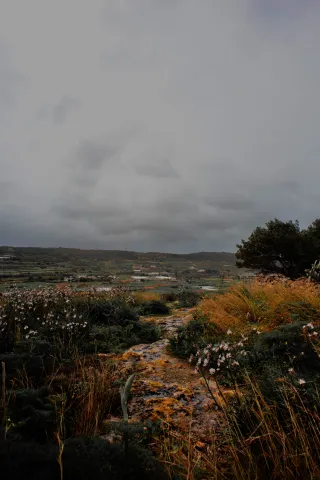 Carl Zeiss Flektogon f4 20mm (m42).md - 00004491.webp