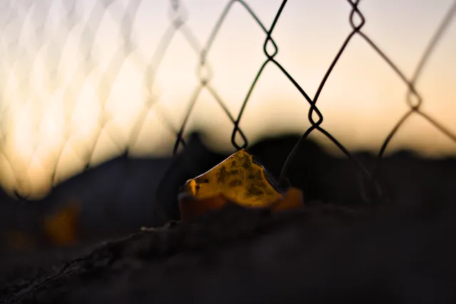 Zenith Helios-77M-4 50mm f1.8 VOMZ (M42) - 00000610.webp