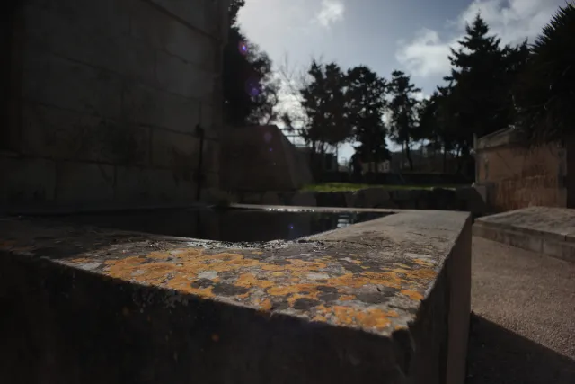 Carl Zeiss Flektogon f4 20mm (m42).md - 00003910.webp