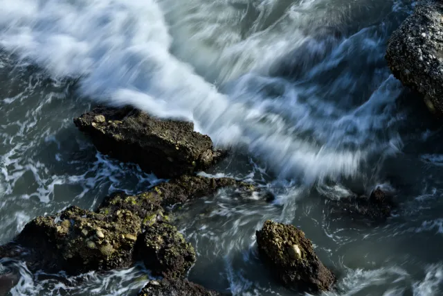 Tamron 28-300mm F3.5-6.3 (EF) - 00000348.webp