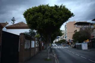 Auto Exaktar EEM 35mm f2.8 ( Minolta MD) - 00002258.webp