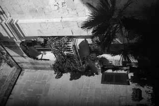 Meyer-Optik Görlitz Primagon 35mm f4.5 (M42) - 00003646.webp